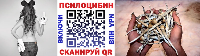 Псилоцибиновые грибы Cubensis  купить   omg ТОР  Меленки 